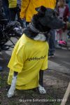 Save Salford Council Nurseries
